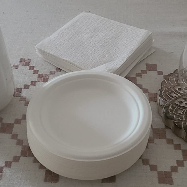 P011 Placa biodegradable de 7 pulgadas