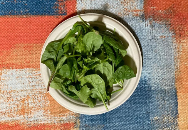 P008 Platos biodegradables redondos para fiestas